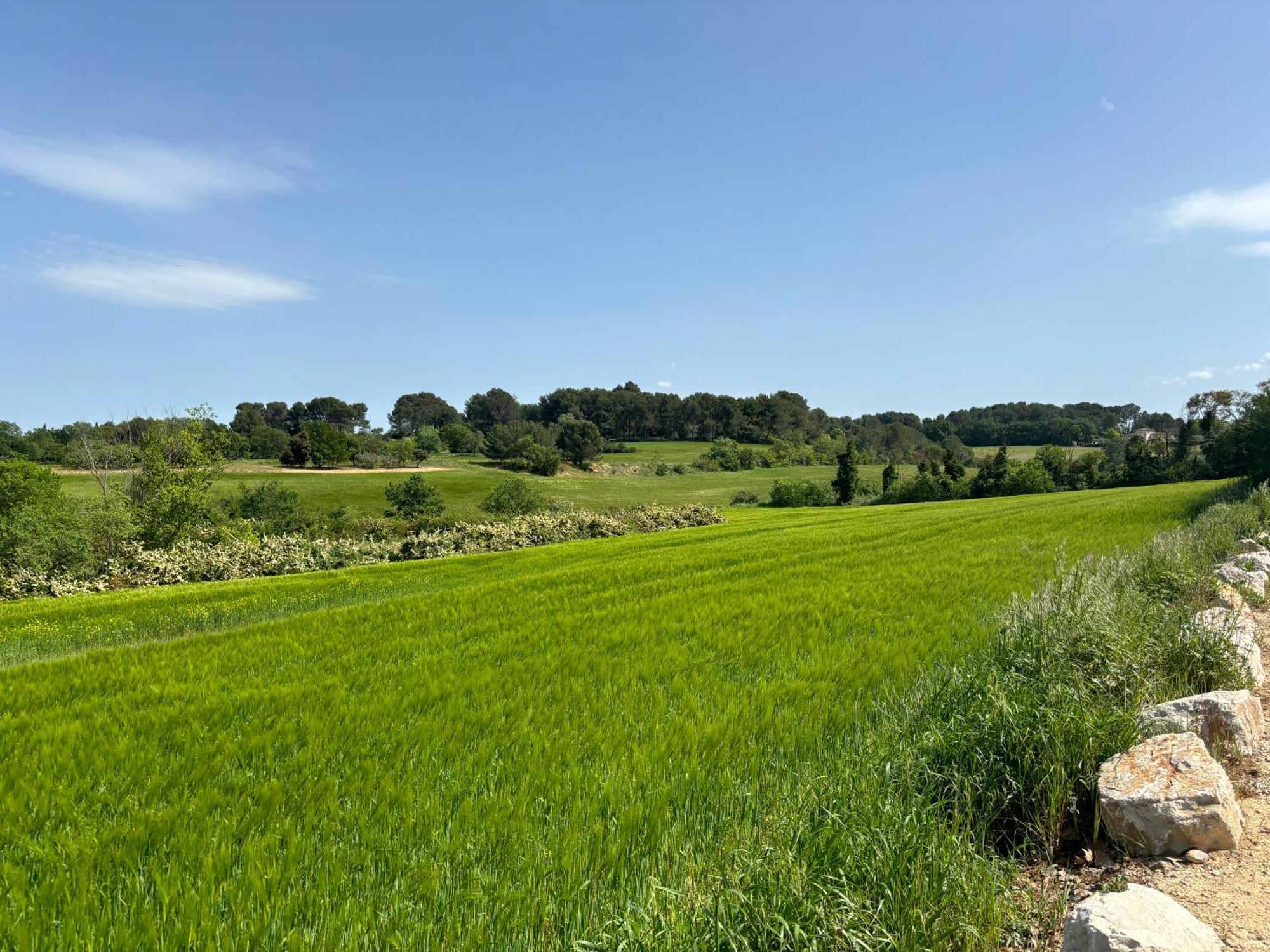 Havre De Paix Au Sein D'Un T3 D'Une Bastide Aixoise Aix-en-Provence Exterior photo
